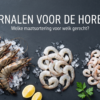 Garnalen voor de horeca: welke maatsortering voor welk gerecht?
