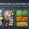 Diepvries totaalleverancier in België: vis, vlees, groenten en frieten in één levering
